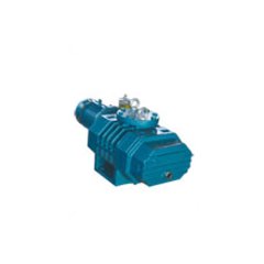 Вакуумный насос DEVELOPMENT VACUUM EQUIPMENT ZJ-150