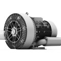 Воздуходувка Elektror 2SD 920 - 50/25