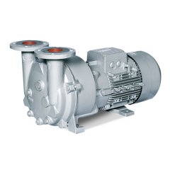 Вакуумный насос Elmo Rietschle L-BV5 2BV5 110-8HH01-8S