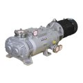 Вакуумный насос DVE LGB-200DV